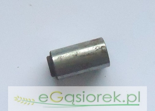 50100530.jpg