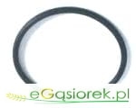 Oring  656306  Kombajn Claas Consul,Protector,