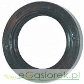 Uszczelniacz simering 42x60x10 AO