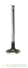 Zawór wydechowy MF-4  30/43-6 PARADOWSCY
