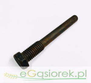 Śruba ustalająca 50418060 40111806