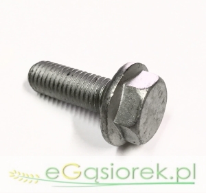 Śruba z kołnierzem  M10x30 KL.10.9