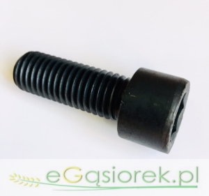 Śruba płyty 50910050 C-360P