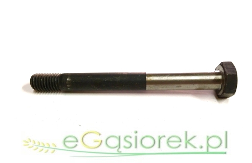 50013420.jpg