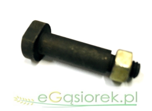 Sworzeń 610470 ślizgu rurki hedera.jpg