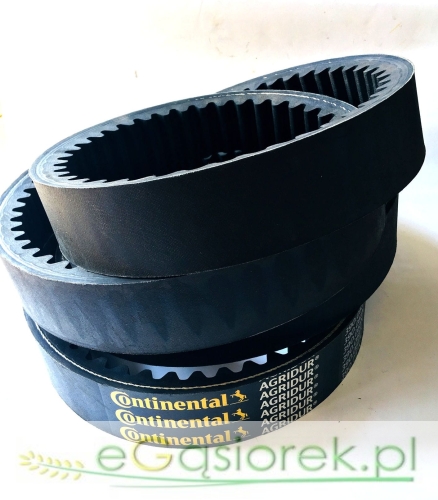 655408 CL.jpg