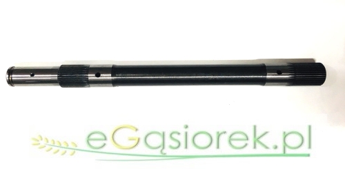 50019290.jpg
