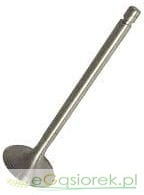 Zawór ssący do Zetora 69010555 Paradowscy