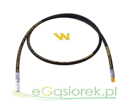 W-PHSMA-2010.jpg