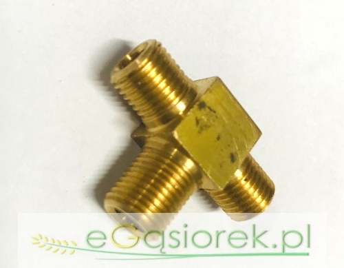 970013.jpg