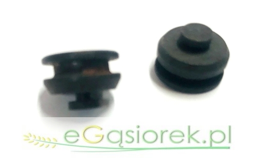 50581490.jpg