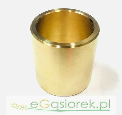 50580040.jpg