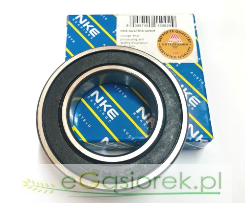 6007 2rs c3 NKE.jpg