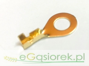 Końcówka oczkowa M6-O-2,5