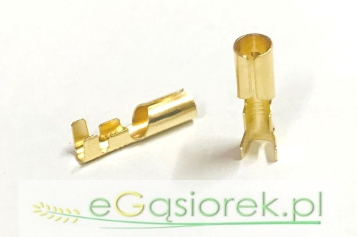 N25.jpg