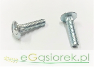 Śruba hederu M 6x25 mm