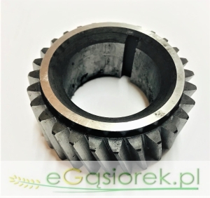 Koło zębate wał korbowego D3900 Bułgar 31171681