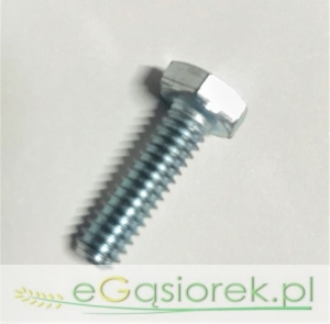 Śruba pokrywy rozrządu 0748353 1/4x3/4 MF3