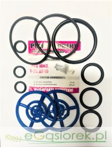 Komplet uszczelek siłownika T25/MTZ D12120227