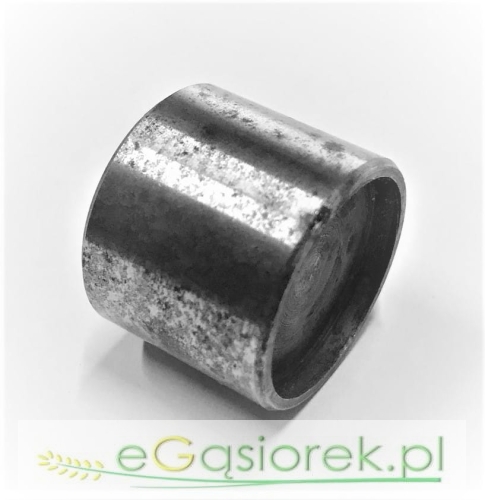V130100.jpg