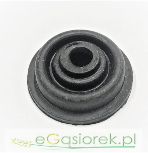 R75056.jpg