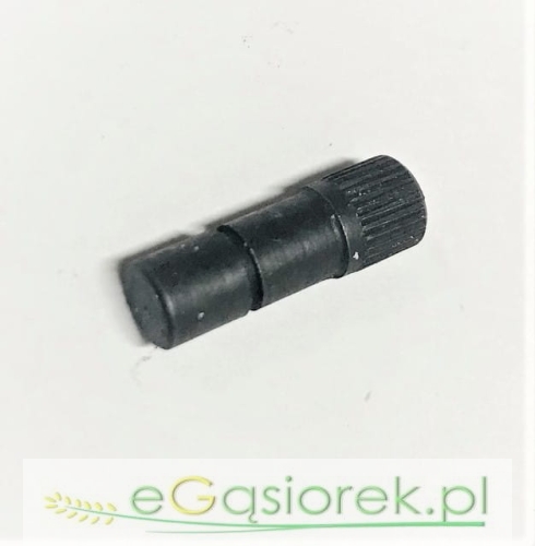 R850402.jpg