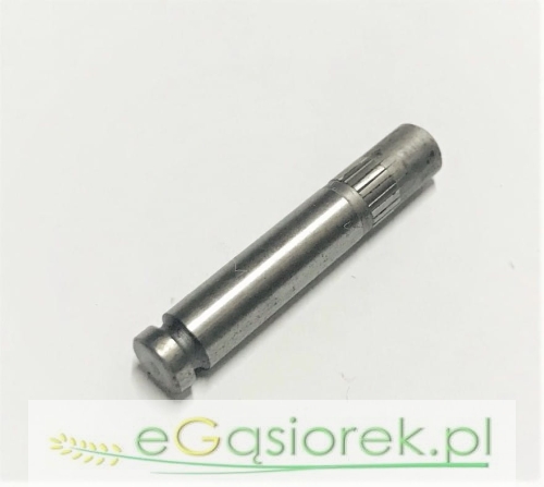 R840205.jpg