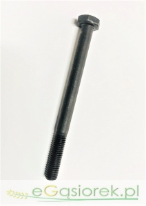 Śruba kolektora ssącego długa MF 0096042
