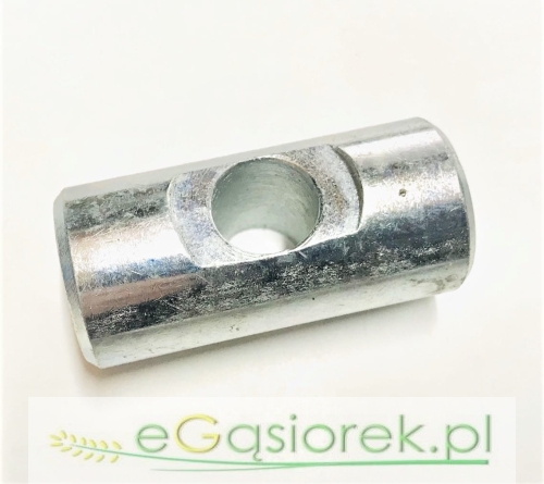 952906.jpg