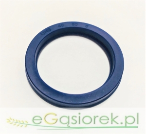 Pierścień  TTI40x50x6