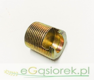 Wkręt korpusu kolumny T25