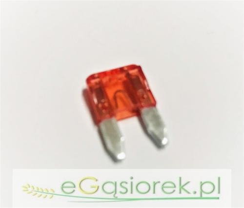 ELFSB10.jpg