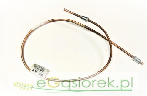wp-024.jpg