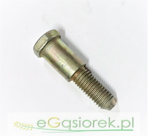 50553300.jpg