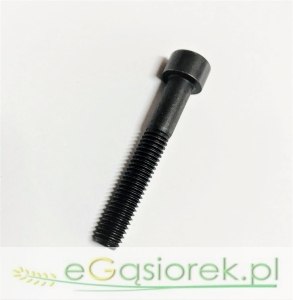Śruba imbusowa M6x40 kl. 12.9