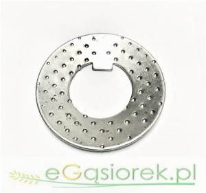 Podkładka satelity z zębem T-25