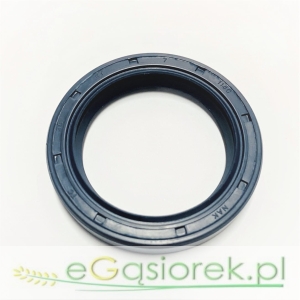 Uszczeniacz AO 35x47x7