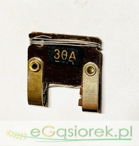 Bezpiecznik 30A T25