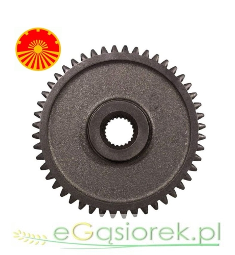 50419470 CHEŁMNO.jpg