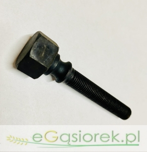 Śruba regulacyjna 32181246