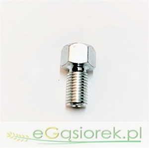 Wkręt odpowietrzający pompy