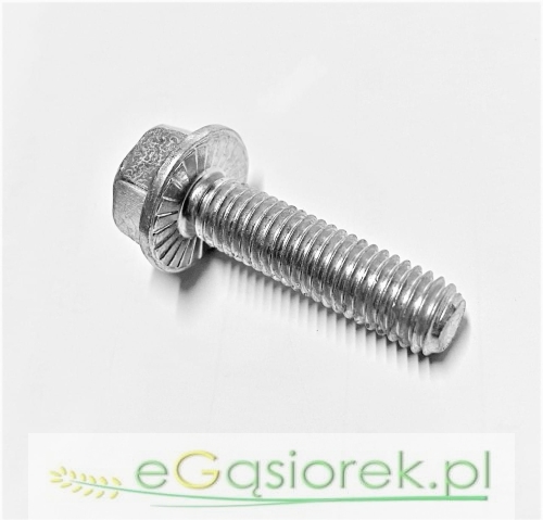 6921T830.jpg