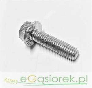 Śruba z kołnierzem  M 8x25 mm kl. 8.8 ocynk