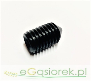 Wkręt dociskowy z końcem ostrym 45 H  M 12x20 mm