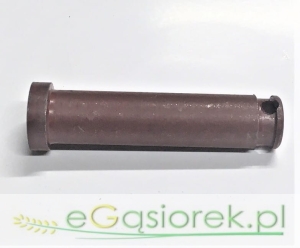 Sworzeń wieszaka T-25