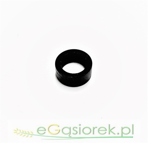 T29539.jpg