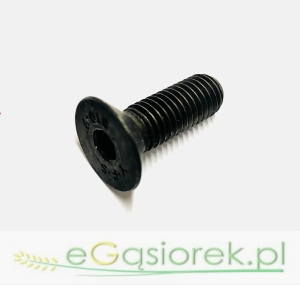 Śruba imbusowa M 10x30 stożkowa kl.10.9