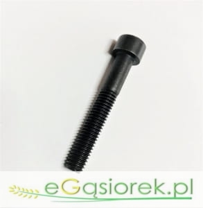 Śruba imbusowa M10x50 kl. 12.9