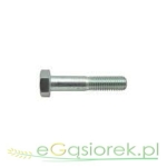 Śruba półgwint 6x40 mm ocynk KL88