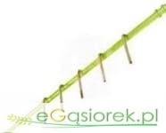 Rurka hedera 2000/3,00